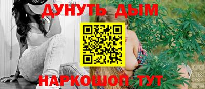 крисы Кингисепп