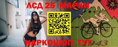 крисы Кингисепп