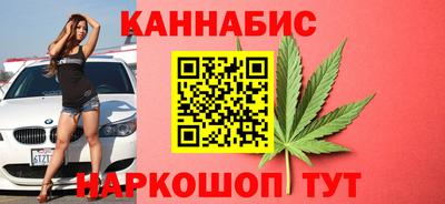 крисы Кингисепп
