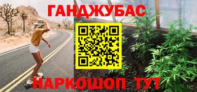 крисы Кингисепп