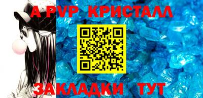крисы Кингисепп