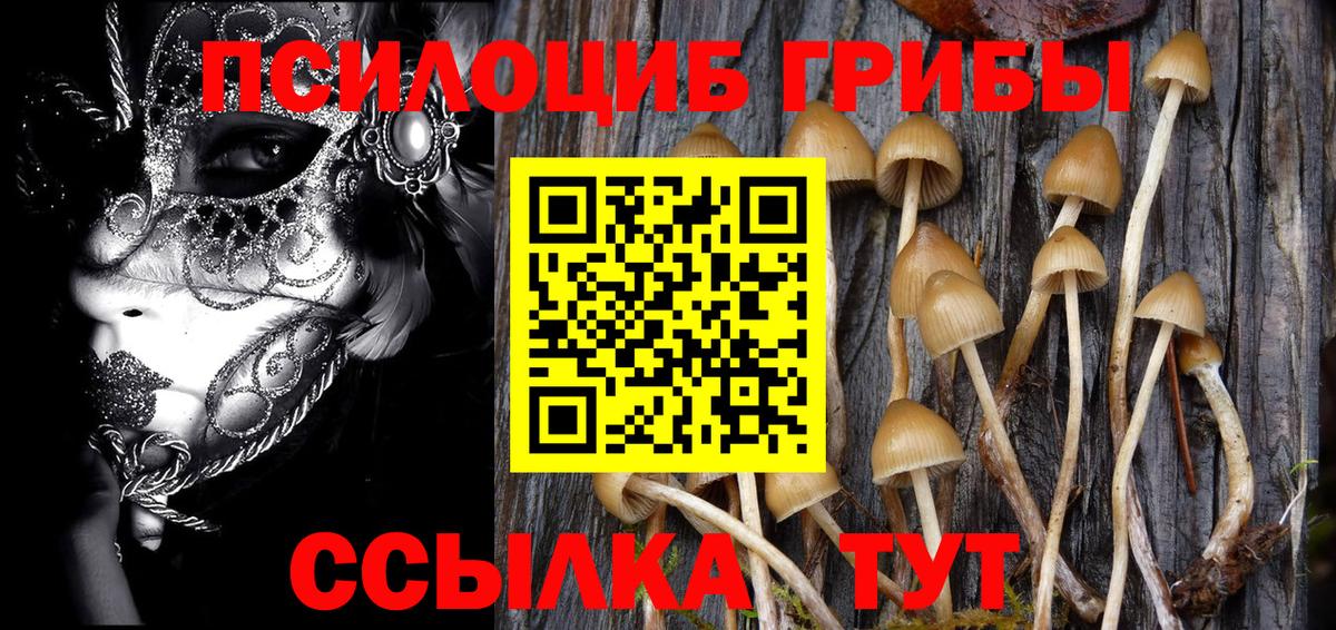цена наркотик  Вход с VPN  Краснознаменск  Галлюциногенные грибы Magic Shrooms 